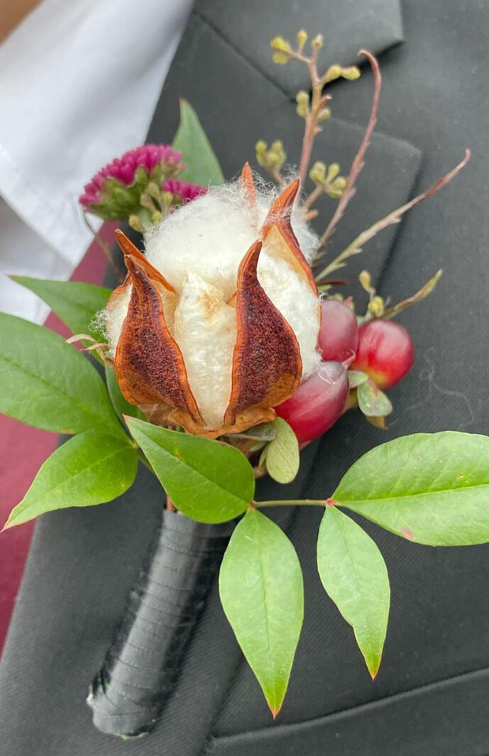 Cotton boll boutonniere